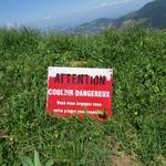 Hinweistafel, das der rechtsabbiegende Wanderweg über ein gefährliches Couloir führt. Betreten auf eigene Gefahr