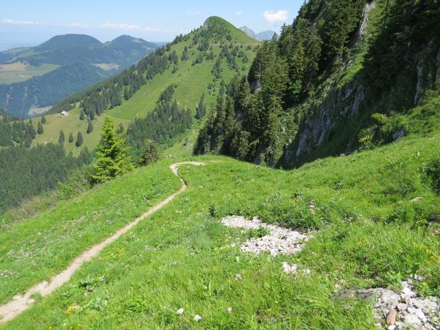 wir laufen weiter und sind gespannt was auf uns zukommt