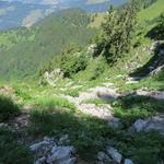 der Bergweg ist rutschig und immer wieder rollen Steine hinunter. Ausgelöst von unvorsichtige Wanderer