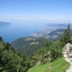 ab hier können wir wieder die grandiose Aussicht auf den Genfersee geniessen und nicht auf herunterstürzende Steine