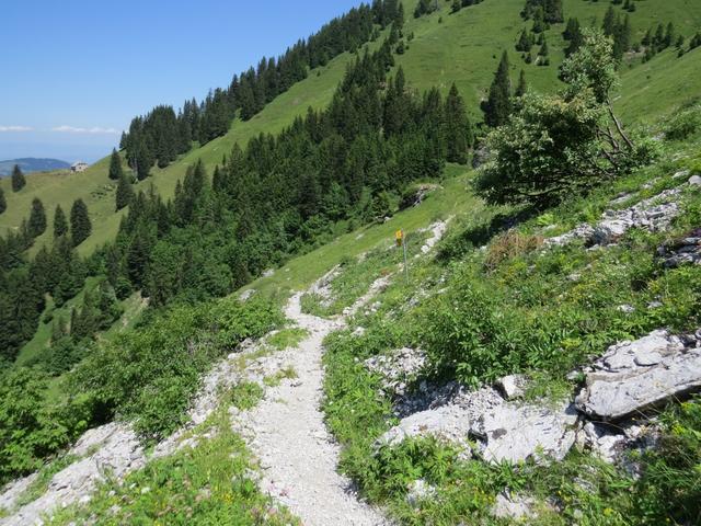 bei Punkt 1630 m.ü.M. erreichen wir wieder eine Weggabelung