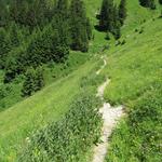 wir wandern auf einem Höhenweg geradeaus weiter, und durchqueren die steilen Berghänge des Le Merdasson