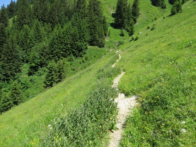 wir wandern auf einem Höhenweg geradeaus weiter, und durchqueren die steilen Berghänge des Le Merdasson