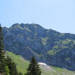 Blick zum Gipfel des Rochers de Naye