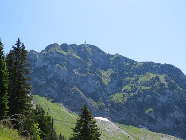 Blick zum Gipfel des Rochers de Naye