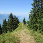 über den Rücken des Merdasson geht es nun über einen traumhaften Wanderweg alles abwärts Richtung Lac Léman