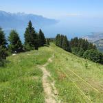 vorbei an Punkt 1548 m.ü.M. wandern wir leicht abwärts Richtung Caux