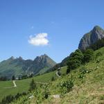 links Cape Au Moine und Corbe, rechts der Dent de Jaman