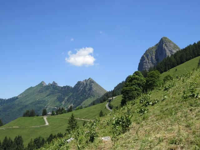 links Cape Au Moine und Corbe, rechts der Dent de Jaman