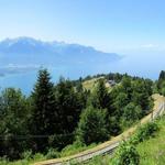 schönes Breitbilfoto mit Blick auf den Genfersee