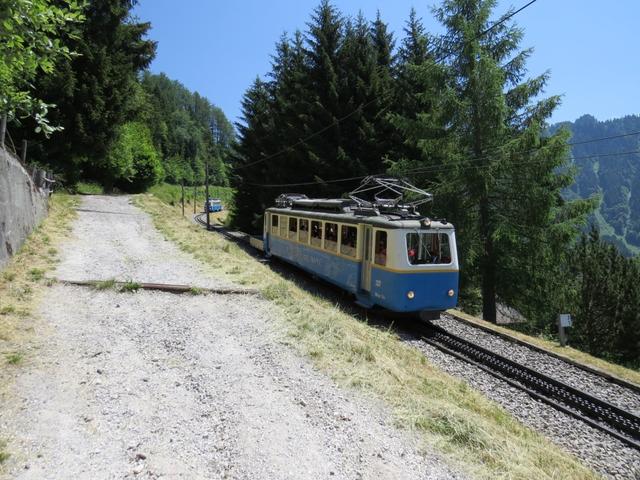 die Zahnradbahn fährt hinauf zum Gipfel des Rochers de Naye