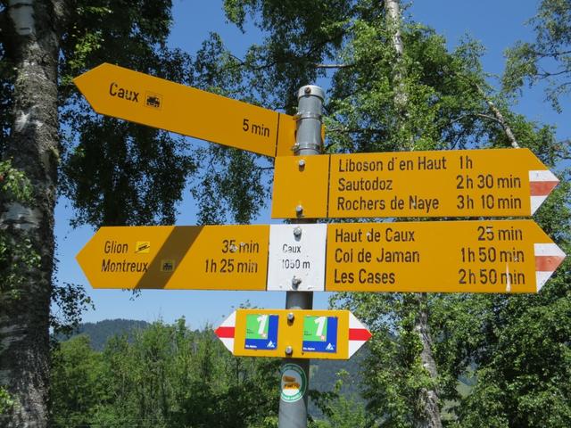 nun auf der Fahrstrasse laufend, erreichen wir Caux 1050 m.ü.M.