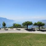 was für eine traumhafte Aussicht vom Park des Hotel Caux Palace