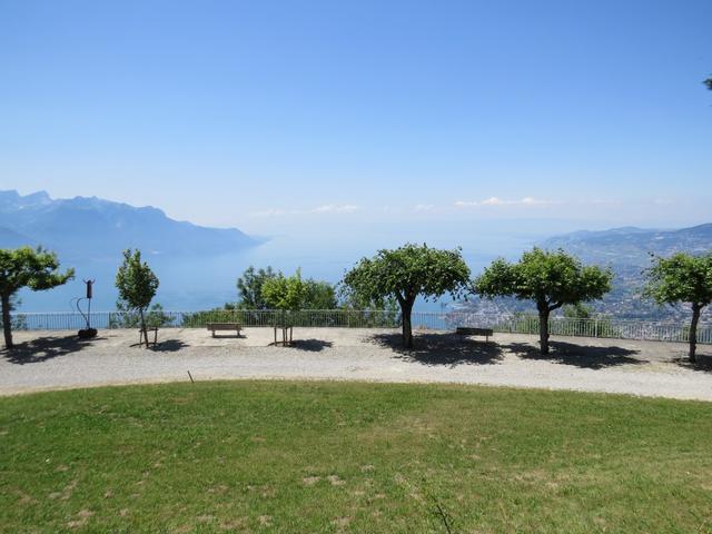 was für eine traumhafte Aussicht vom Park des Hotel Caux Palace