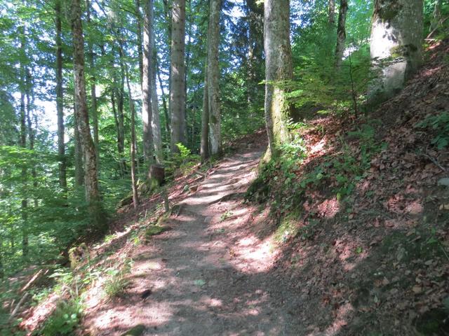 ...sondern laufen teilweise über einen Wanderweg abkürzend, hinauf Richtung Sonloup