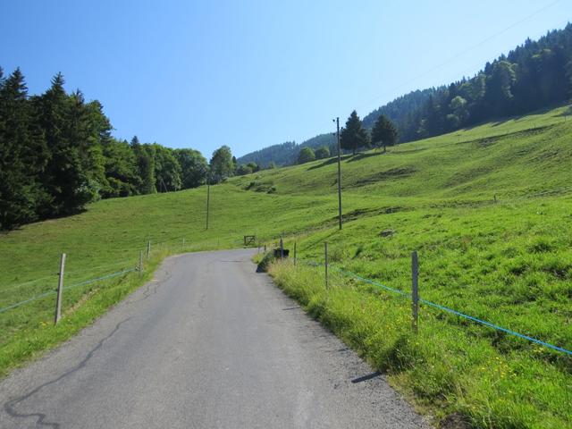 auf einer Fahrstrasse laufen wir weiter aufwärts...