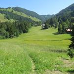wir verlassen danach die Strasse und laufen über eine schöne Blumenwiese...