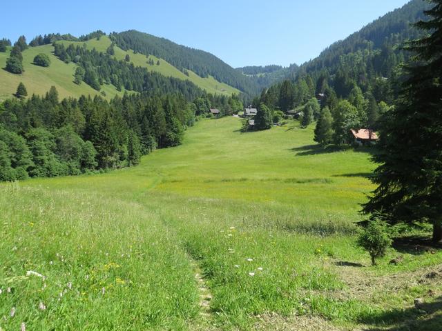 wir verlassen danach die Strasse und laufen über eine schöne Blumenwiese...