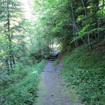 ...in den Vallon d'Orgevaux