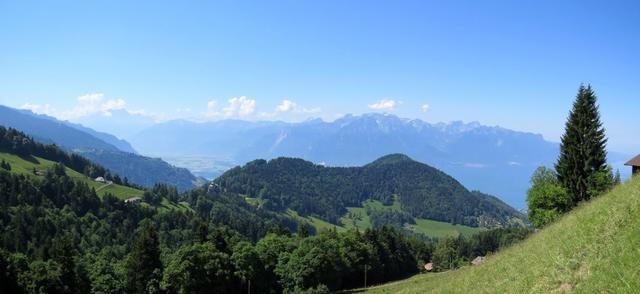 wir erblicken das Glitzern des Genfersees und auf der andern Seite der Grammont, den wir auch bestiegen haben