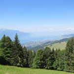 bis auf ein paar Wege, die durch den Wald führen, hat man eine relativ freie und traumhafte Sicht auf den Genfersee