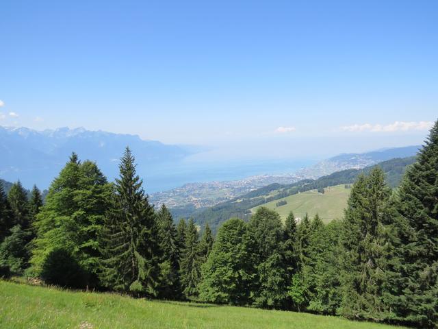 bis auf ein paar Wege, die durch den Wald führen, hat man eine relativ freie und traumhafte Sicht auf den Genfersee