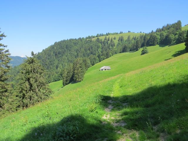 ein echtes Juwel sind in diesem Gebiet die bekannten Narzissenfelder im Frühling