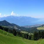 was für eine traumhafte Aussicht auf den Genfersee und Vevey