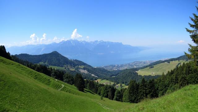 was für eine traumhafte Aussicht auf den Genfersee und Vevey