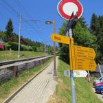 Wegweiser beim Bahnhof von Lally 1236 m.ü.M.