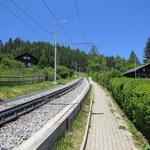 direkt bei der Haltestelle der Zahnradbahn laufen wir nun alles neben den Schienen...