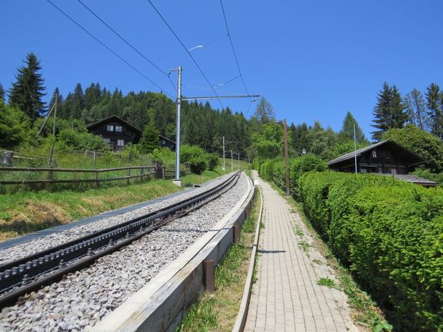 direkt bei der Haltestelle der Zahnradbahn laufen wir nun alles neben den Schienen...