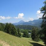 Blick zum Le Moléson und Teysachaux dort oben standen wir auch schon