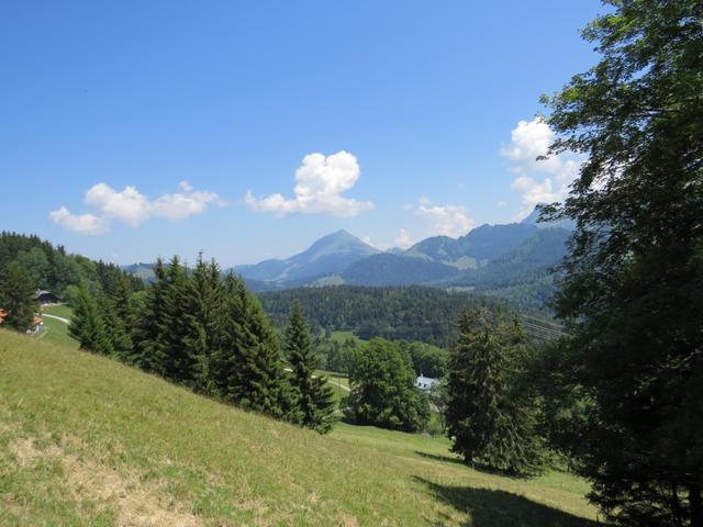 Blick zum Le Moléson und Teysachaux dort oben standen wir auch schon