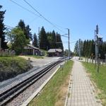 ...steil aufwärts bis zur Bergstation Les Pléjades der MVR Montreux–Vevey–Riviera Bahn