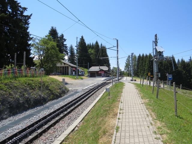 ...steil aufwärts bis zur Bergstation Les Pléjades der MVR Montreux–Vevey–Riviera Bahn