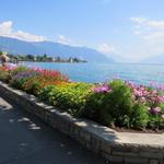 Abschluss von diesem speziellen Wandertag ist das flanieren an der Uferpromenade von Vevey