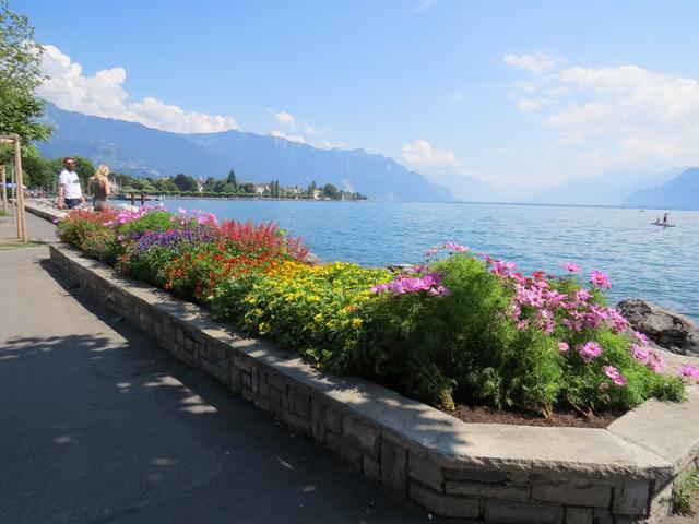 Abschluss von diesem speziellen Wandertag ist das flanieren an der Uferpromenade von Vevey