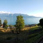 sehr schöner Blick auf den Genfersee. Das Hotel liegt einfach traumhaft