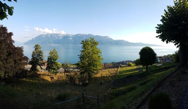 sehr schöner Blick auf den Genfersee. Das Hotel liegt einfach traumhaft