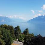 vom Balkon des Hotelzimmer genossen wir eine traumhafte Aussicht auf den Genfersee und die Riviera zwischen Vevey und Montreux
