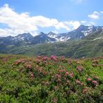 ...für das ansonsten schöne Panorama des Val Bedretto