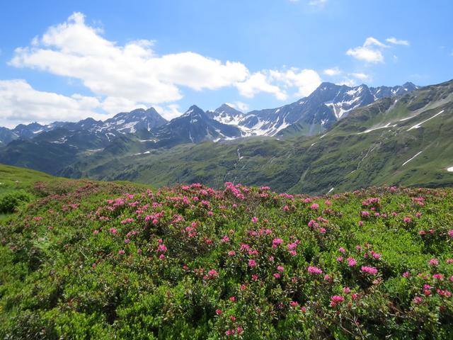 ...für das ansonsten schöne Panorama des Val Bedretto