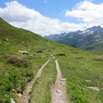 der Sentiero Alto Val Bedretto führt uns nun auf mehr oder weniger gleichbleibender Höhe alles talauswärts