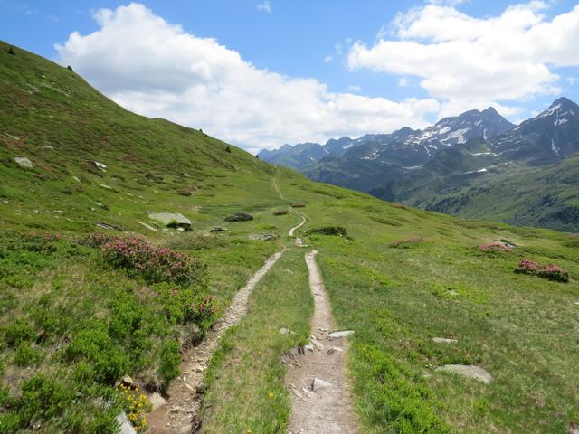 der Sentiero Alto Val Bedretto führt uns nun auf mehr oder weniger gleichbleibender Höhe alles talauswärts