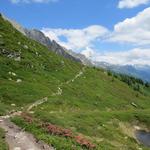 wir durchqueren die schön gelegene und aussichtsreiche Alpe di Manió