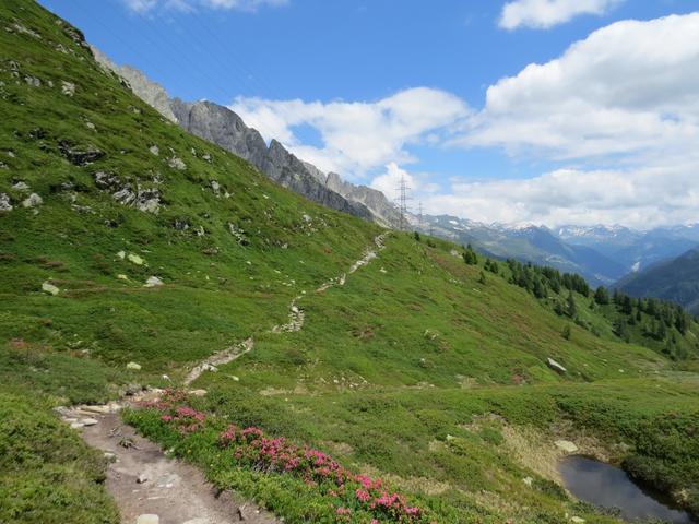 wir durchqueren die schön gelegene und aussichtsreiche Alpe di Manió