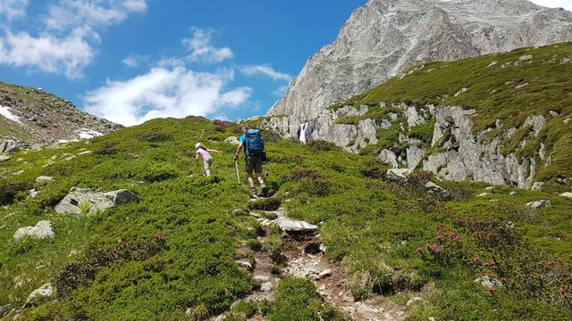 ...und nehmen den relativ steilen Aufstieg zum Lago delle Pigne unter die Füsse