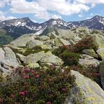 Blick über die andere Talseite des Val Bedretto hinaus, zum Pizzo Folcra, Pizzo Carraresc und Poncione Val Piana