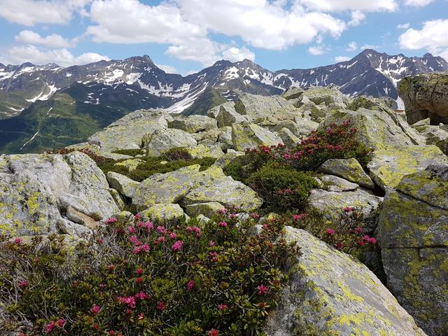 Blick über die andere Talseite des Val Bedretto hinaus, zum Pizzo Folcra, Pizzo Carraresc und Poncione Val Piana